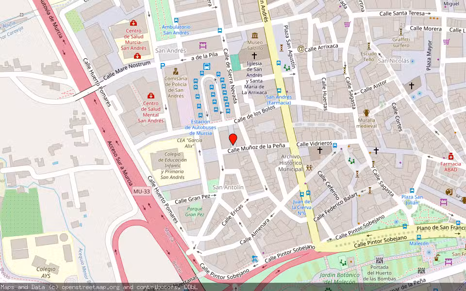 Mapa de Subasta Inmueble (Vivienda) en Murcia