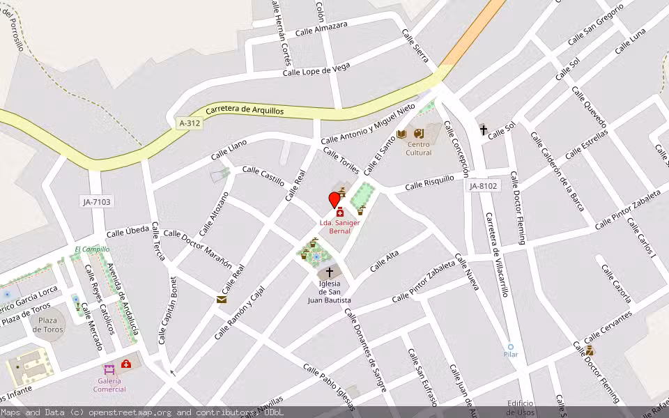 Mapa de Subasta Inmueble (Finca rústica) en Navas De San Juan, Jaén