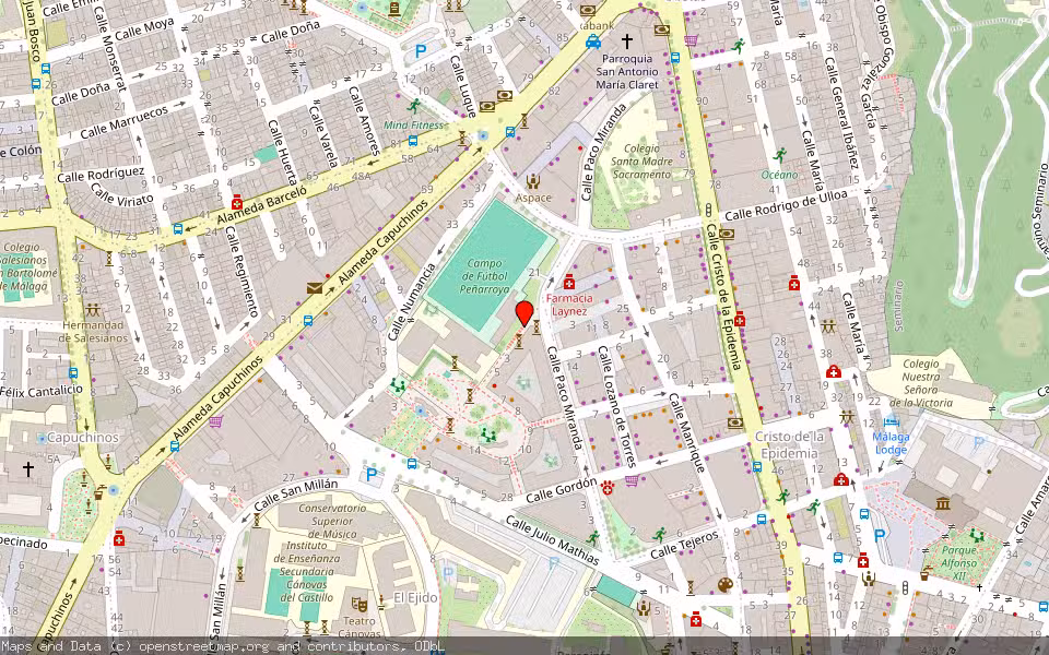Mapa de Subasta Inmueble (Vivienda) en Málaga