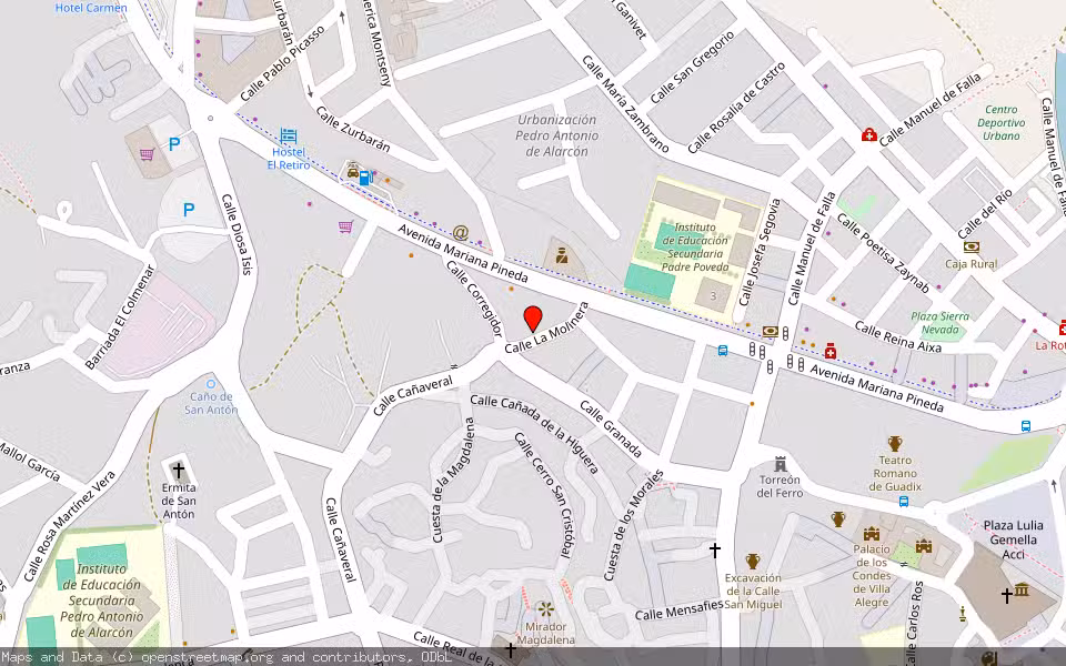 Mapa de Subasta Inmueble (Otros) en Guadix, Granada