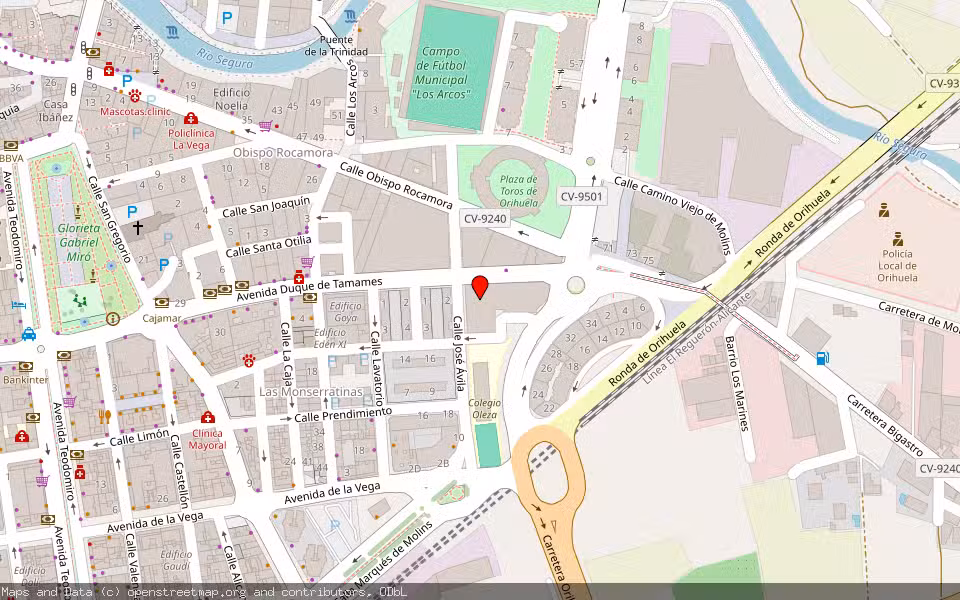 Mapa de Subasta Inmueble (Vivienda) en Orihuela, Alicante/Alacant