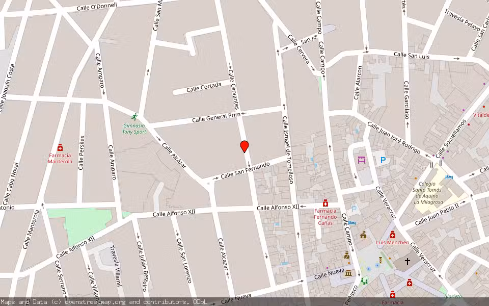 Mapa de Subasta Inmueble (Vivienda) en Tomelloso, Ciudad Real