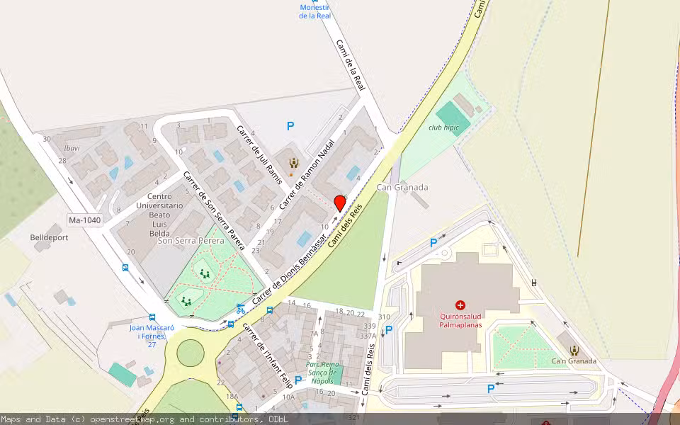 Mapa de Subasta Inmueble (Garaje) en Palma, Illes Balears