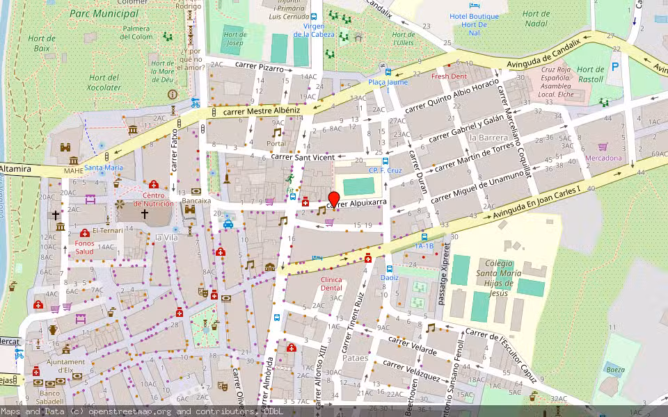 Mapa de Subasta Inmueble (Vivienda) en Elx/elche, Alicante/Alacant