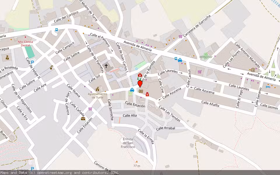 Mapa de Subasta Inmueble (Otros) en Turre, Almería