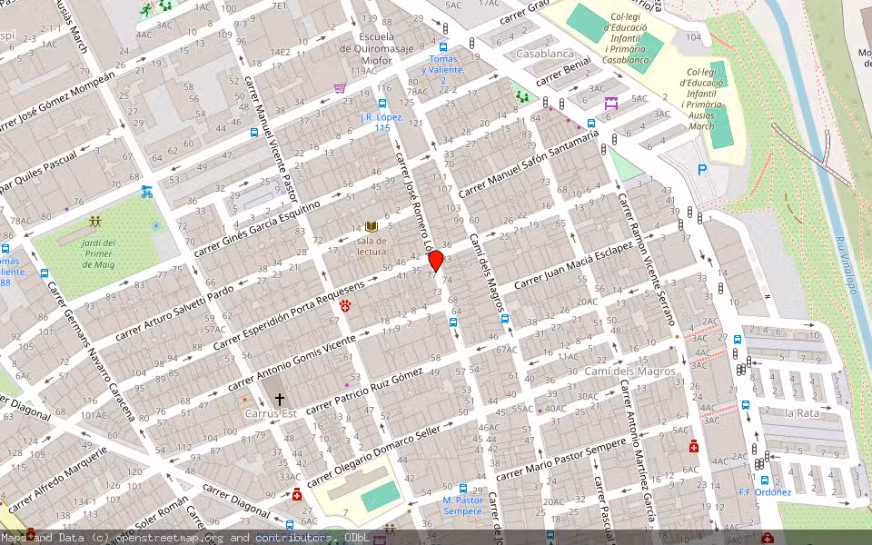 Mapa de Subasta Inmueble (Vivienda) en Elx/elche, Alicante/Alacant