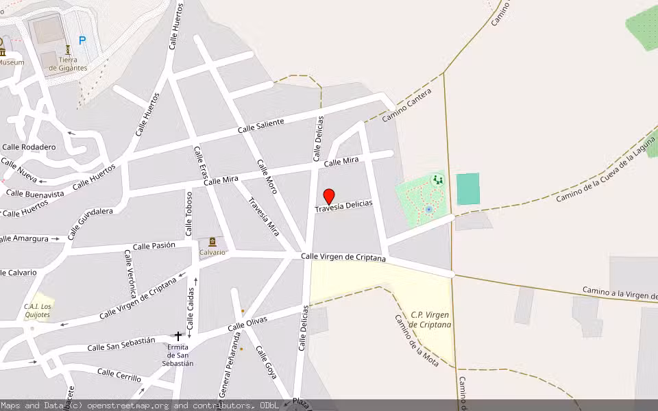 Mapa de Subasta Inmueble (Nave industrial) en Campo De Criptana, Ciudad Real