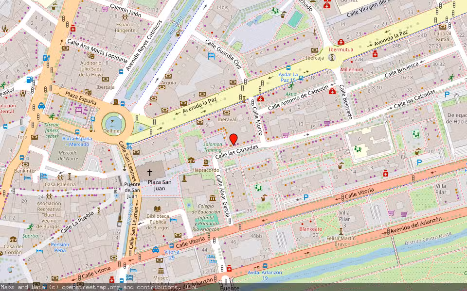 Mapa de Subasta Inmueble (Vivienda) en Burgos