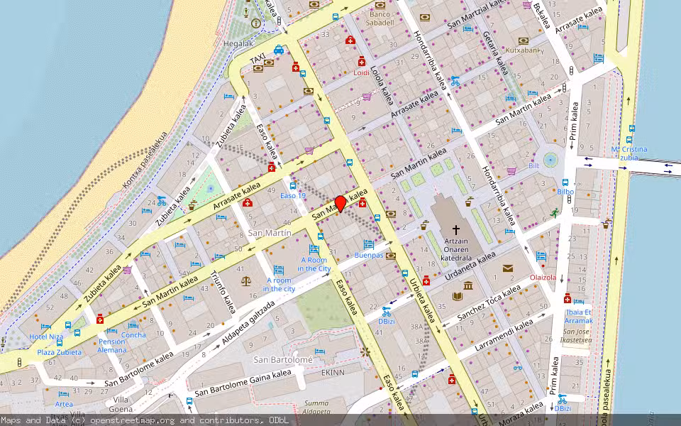 Mapa de Subasta Inmueble (Vivienda) en Donostia, Gipuzkoa