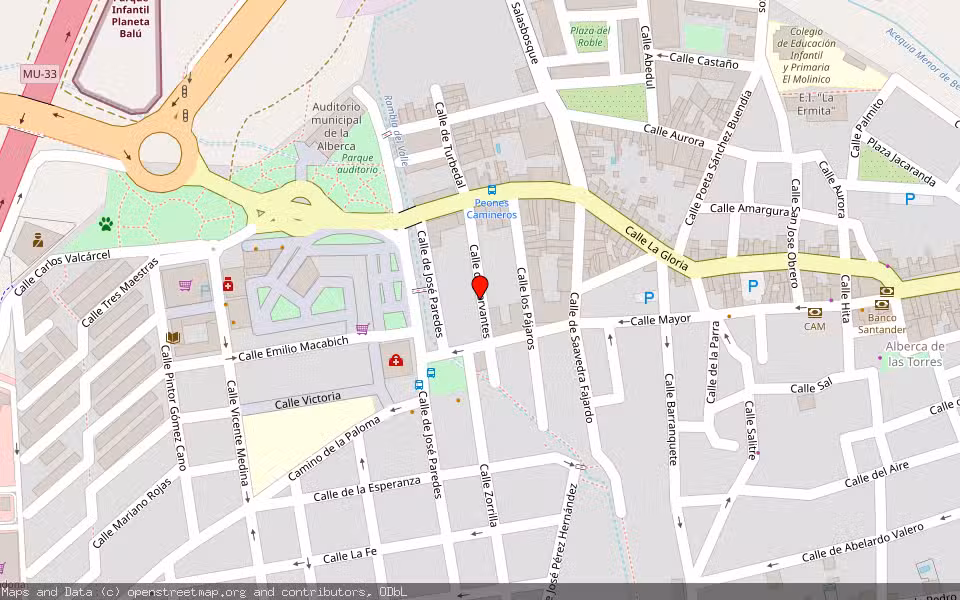 Mapa de Subasta Inmueble (Vivienda) en Murcia