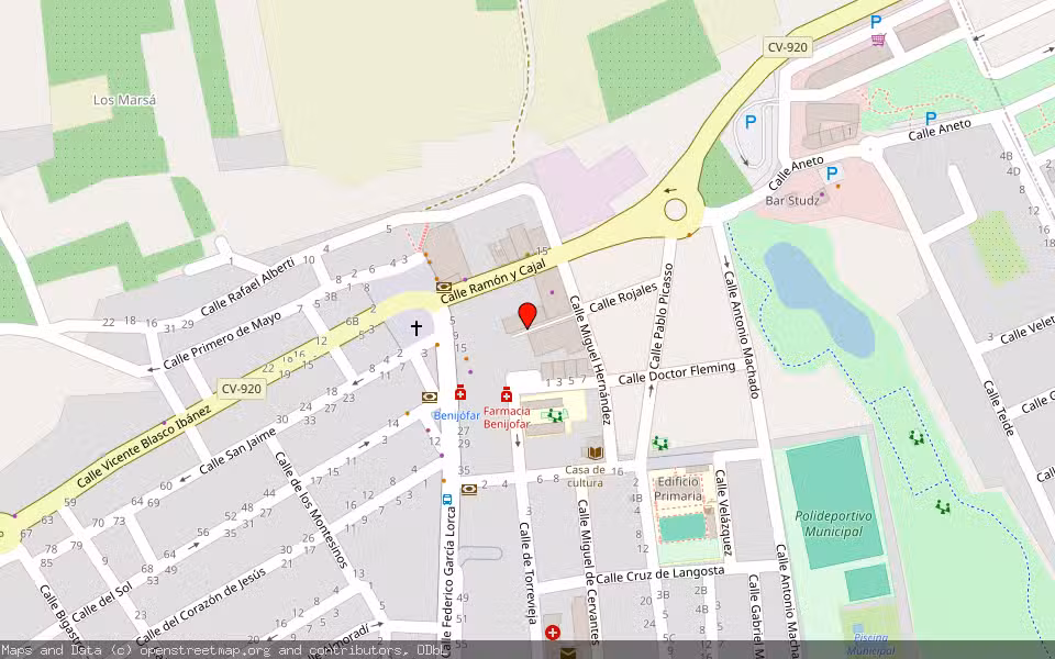 Mapa de Subasta Inmueble (Vivienda) en Rojales, Alicante/Alacant