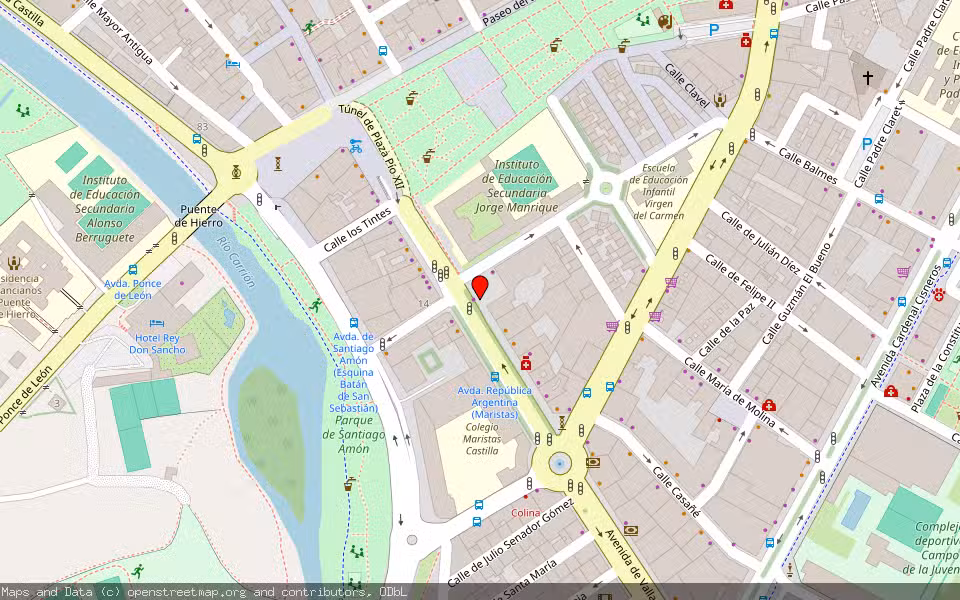 Mapa de Subasta Inmueble (Vivienda) en Palencia