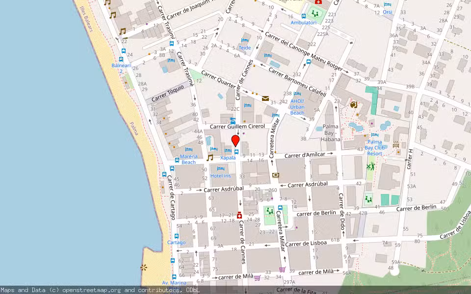 Mapa de Subasta Inmueble (Vivienda) en Palma, Illes Balears