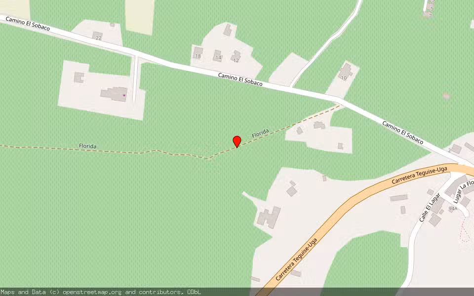Mapa de Subasta Inmueble (Finca rústica) en San Bartolomé, Las Palmas