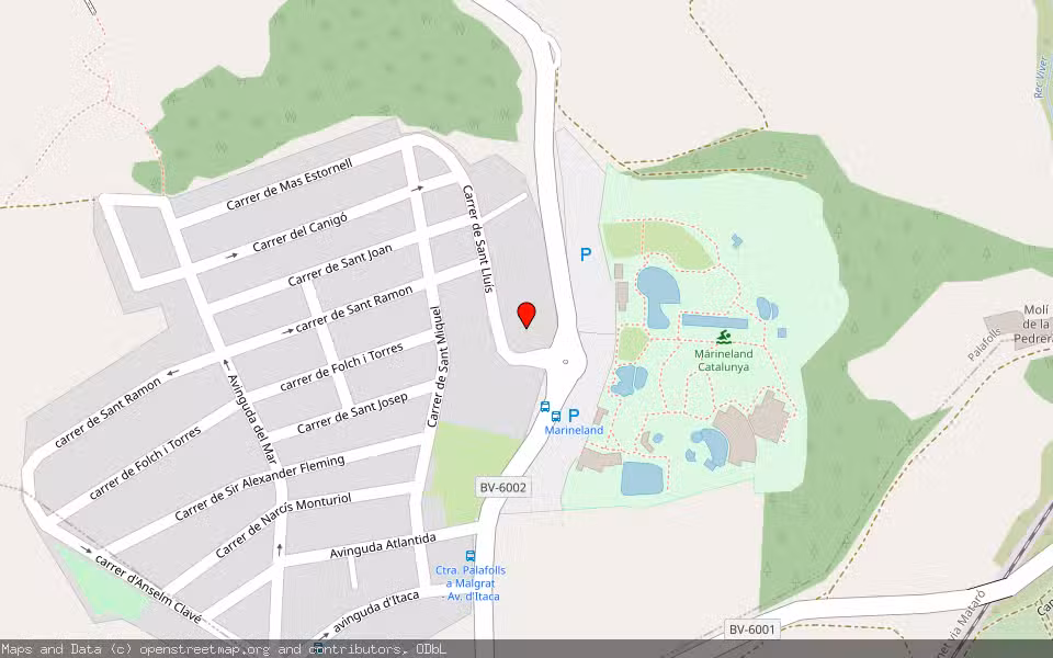 Mapa de Subasta Inmueble (Vivienda) en Palafolls, Barcelona