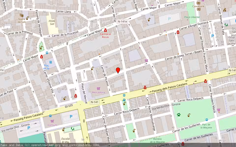 Mapa de Subasta Inmueble (Vivienda) en Salt, Girona