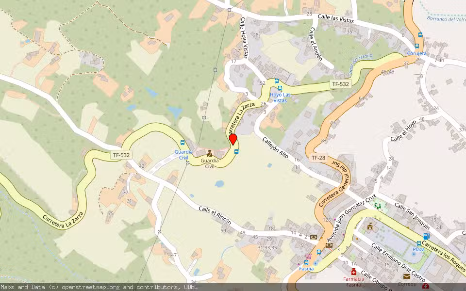 Mapa de Subasta Inmueble (Otros) en Fasnia, Santa Cruz de Tenerife