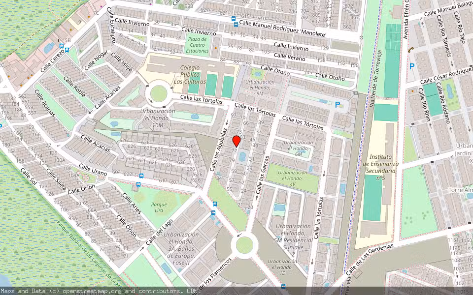 Mapa de Subasta Inmueble (Garaje) en Torrevieja, Alicante/Alacant