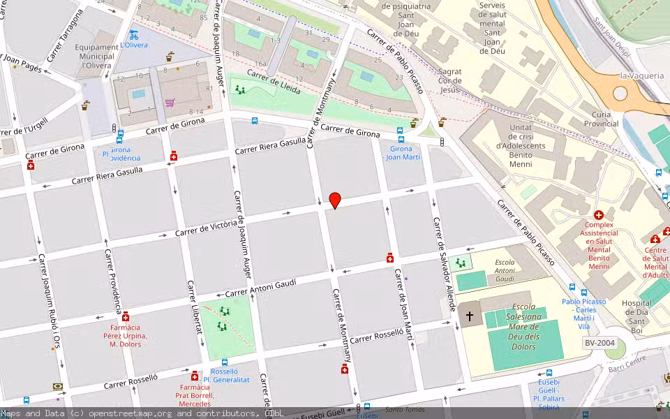 Mapa de Subasta Inmueble (Vivienda) en Sant Boi De Llobregat, Barcelona