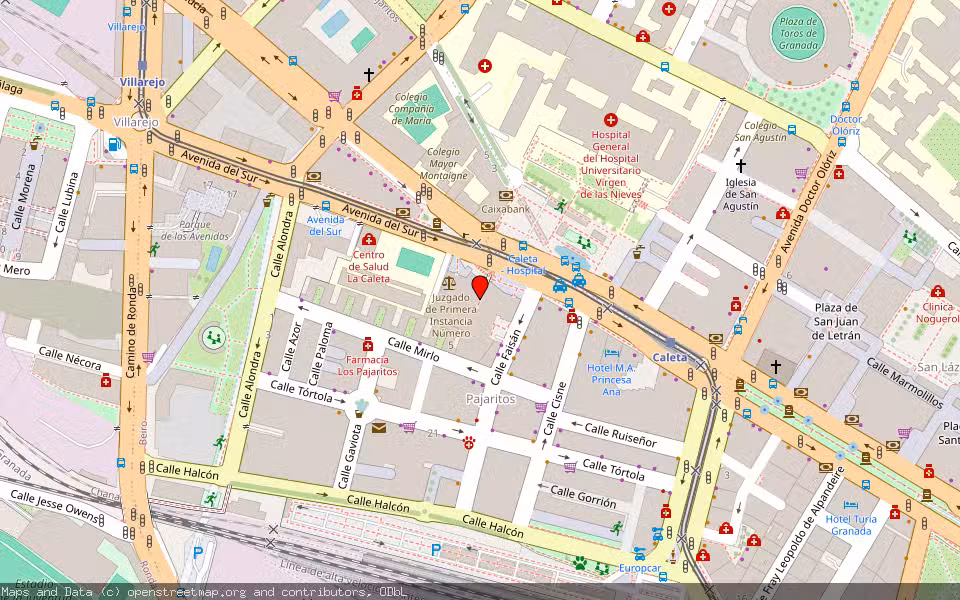 Mapa de Subasta Inmueble (Vivienda) en Granada