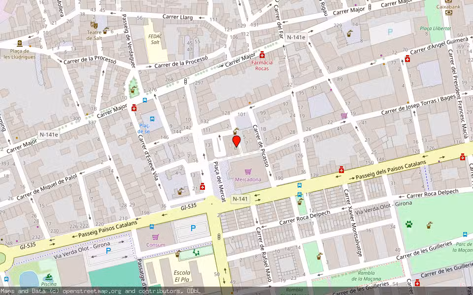 Mapa de Subasta Inmueble (Vivienda) en Salt, Girona