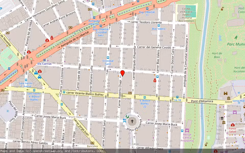 Mapa de Subasta Inmueble (Vivienda) en Elche, Alicante/Alacant