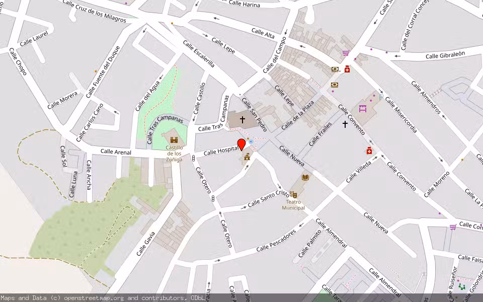 Mapa de Subasta Inmueble (Local comercial) en Cartaya, Huelva