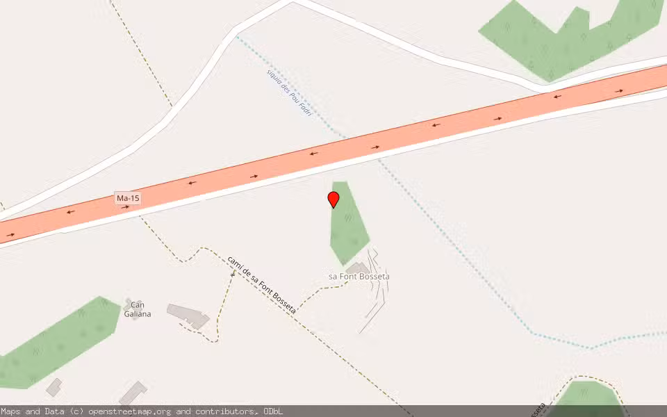 Mapa de Subasta Inmueble (Finca rústica) en Montuiri, Illes Balears