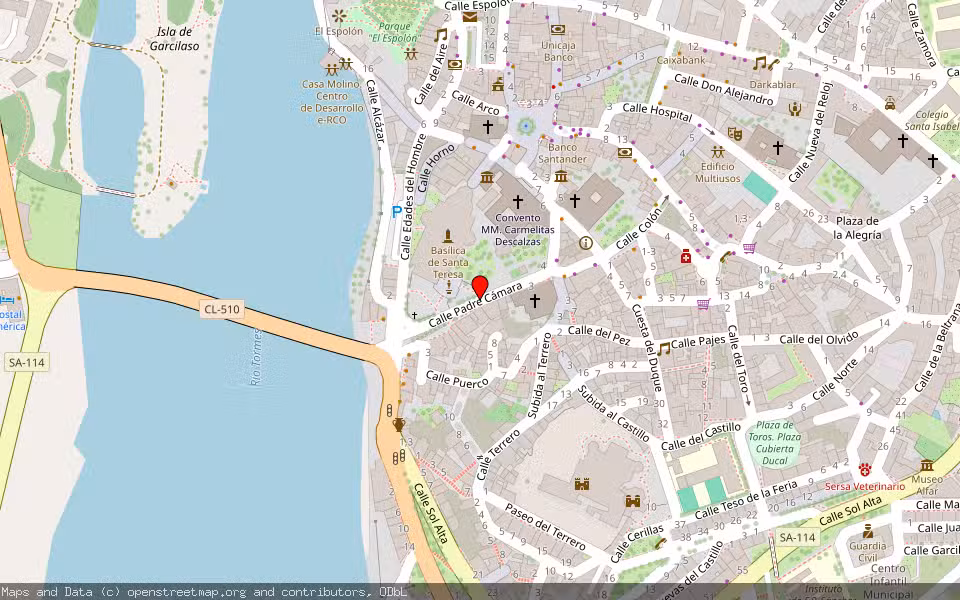 Mapa de Subasta Inmueble (Vivienda) en Alba De Tormes, Salamanca