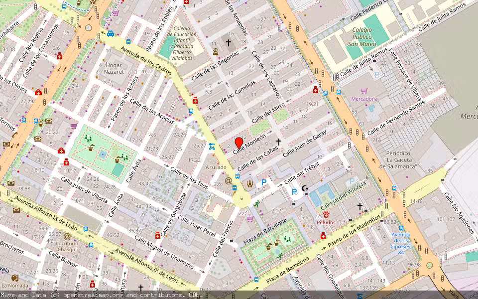 Mapa de Subasta Inmueble (Vivienda) en Salamanca