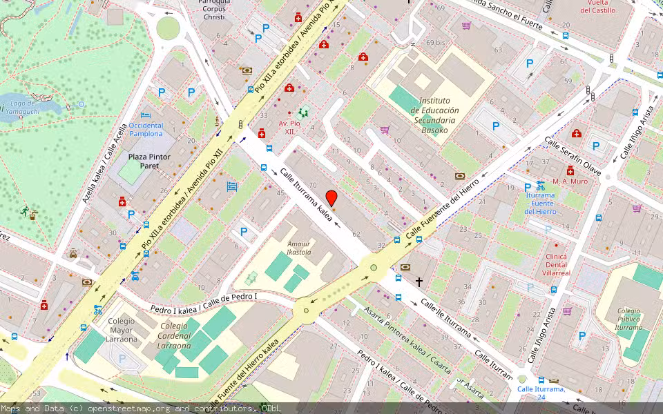 Mapa de Subasta Inmueble (Vivienda) en Pamplona, Navarra