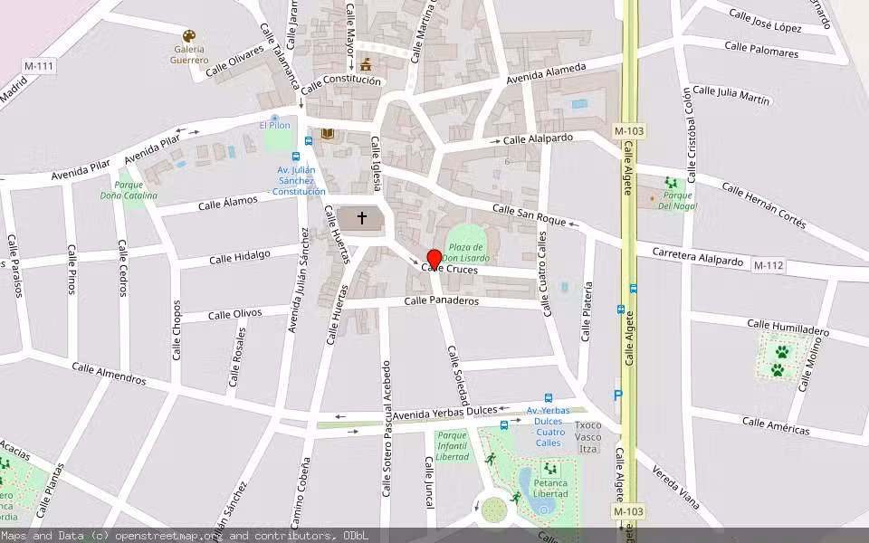 Mapa de Subasta Inmueble (Vivienda) en Fuente El Saz De Jarama, Madrid