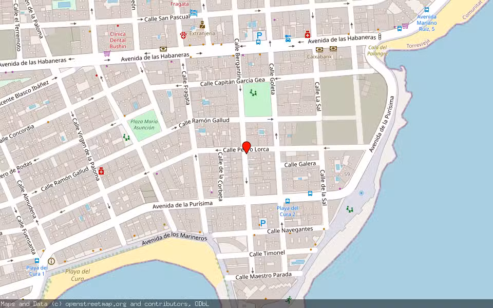 Mapa de Subasta Inmueble (Vivienda) en Torrevieja, Alicante/Alacant