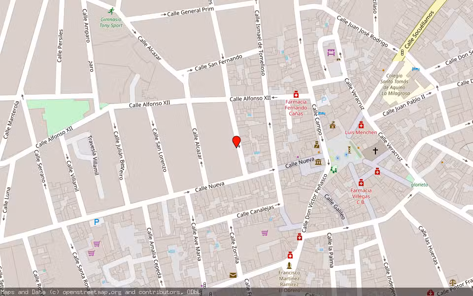 Mapa de Subasta Inmueble (Vivienda) en Tomelloso, Ciudad Real