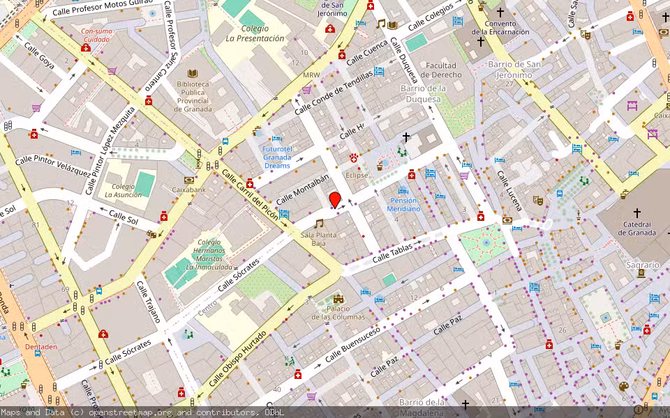Mapa de Subasta Inmueble (Vivienda) en Granada