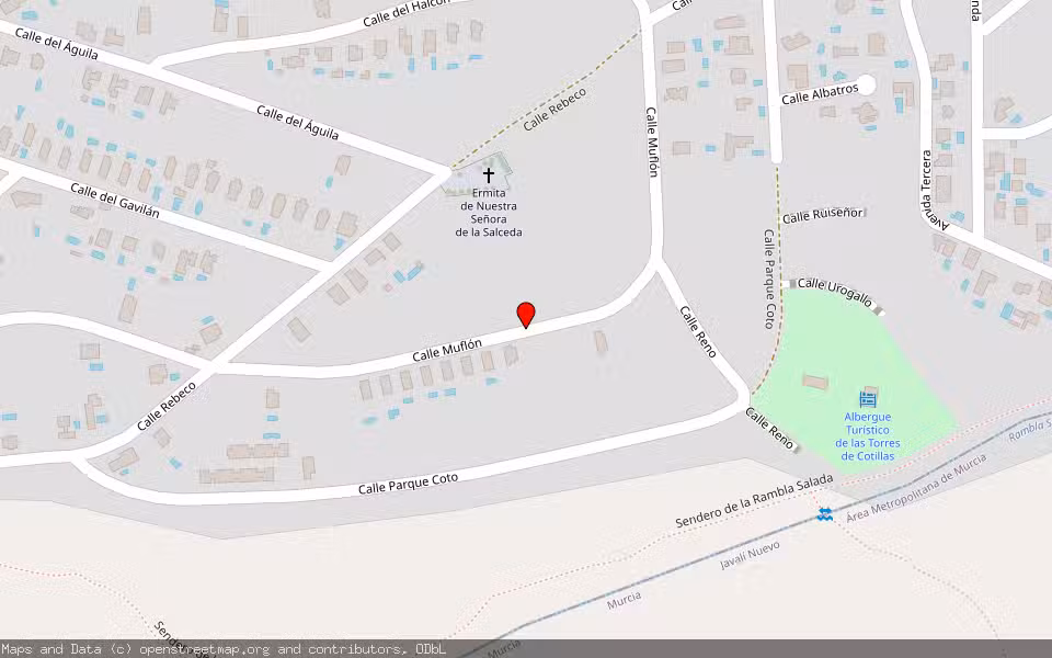 Mapa de Subasta Inmueble (Vivienda) en Las Torres De Cotillas, Murcia