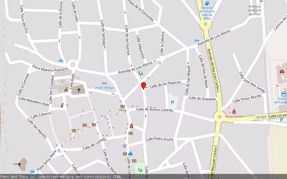 Mapa de Subasta Inmueble (Otros) en Valencia De Don Juan, León