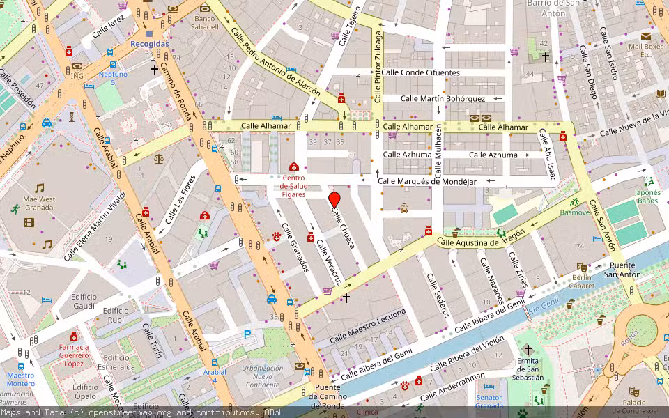 Mapa de Subasta Inmueble (Local comercial) en Granada