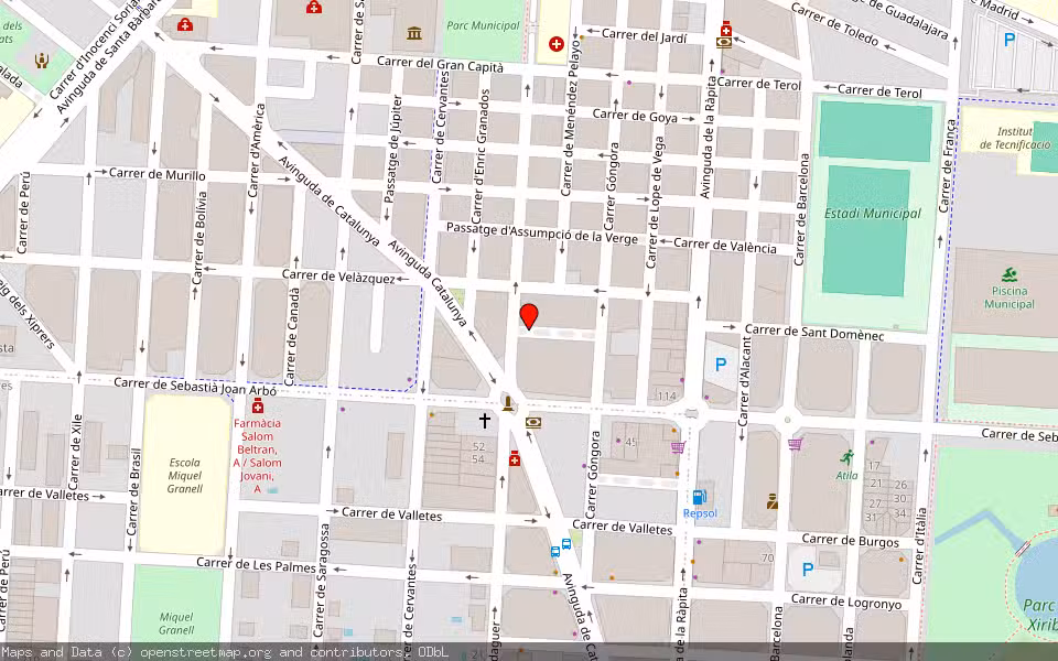 Mapa de Subasta Inmueble (Vivienda) en Amposta, Tarragona