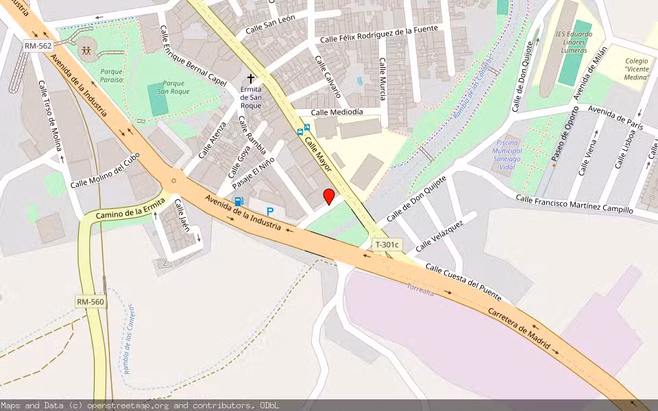 Mapa de Subasta Inmueble (Vivienda) en Molina De Segura, Murcia