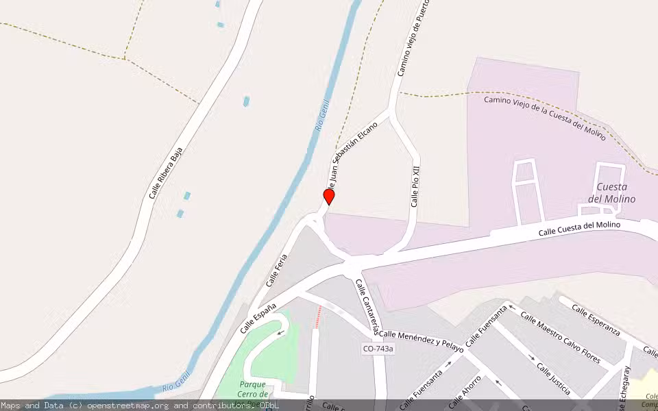 Mapa de Subasta Inmueble (Otros) en Puente Genil, Córdoba