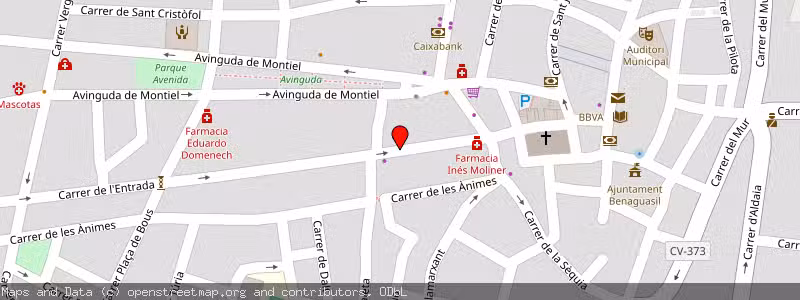 Mapa de Subasta de Inmueble (Solar) en Benaguasil, Valencia 