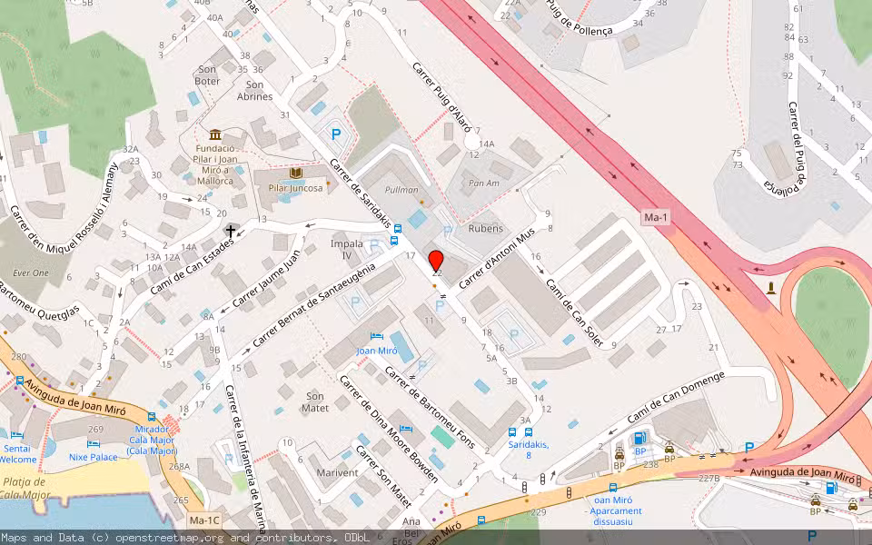 Mapa de Subasta Inmueble (Vivienda) en Palma, Illes Balears