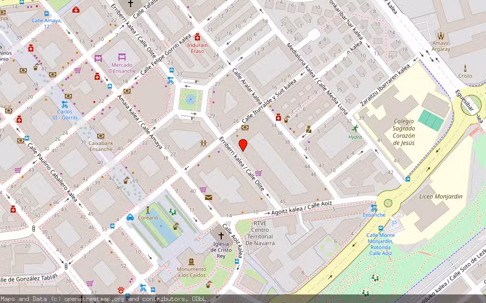 Mapa de Subasta Inmueble (Vivienda) en Pamplona, Navarra