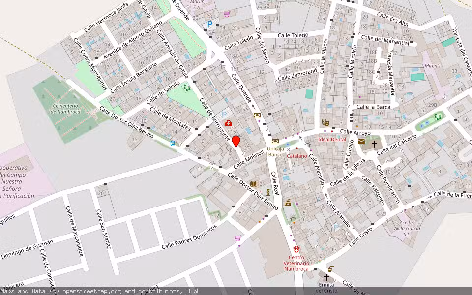 Mapa de Subasta Inmueble (Vivienda) en Nambroca, Toledo