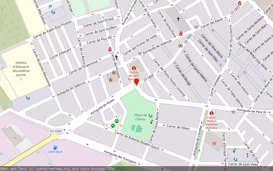 Mapa de Subasta Inmueble (Vivienda) en Burriana, Castellón/Castelló
