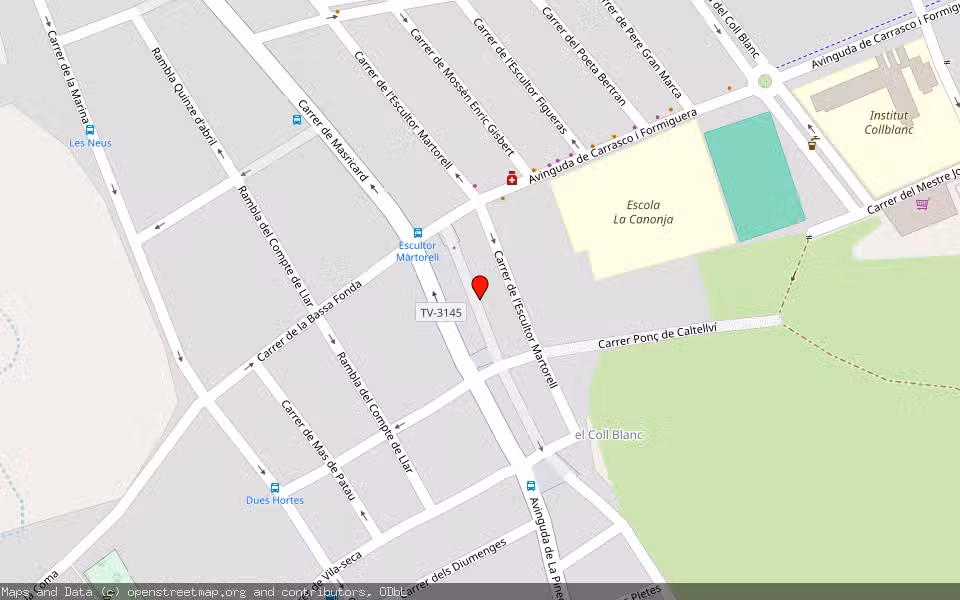 Mapa de Subasta Inmueble (Garaje) en La Canonja, Tarragona