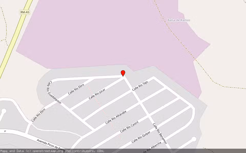 Mapa de Subasta Inmueble (Vivienda) en Molina De Segura, Murcia