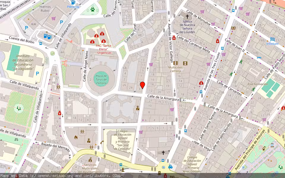 Mapa de Subasta Inmueble (Local comercial) en Zamora