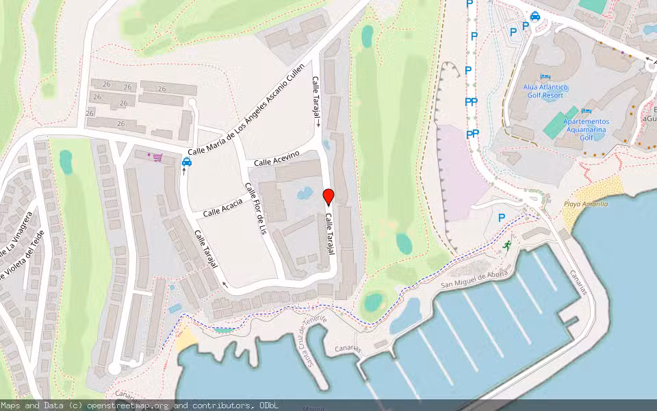 Mapa de Subasta Inmueble (Garaje) en El Guincho. San Miguel De Abona., Santa Cruz de Tenerife
